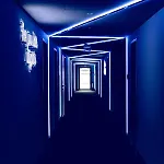 The Flamingo 蒂门多弗施特兰德