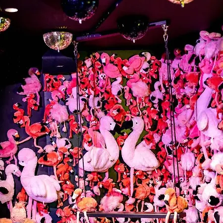 The Flamingo