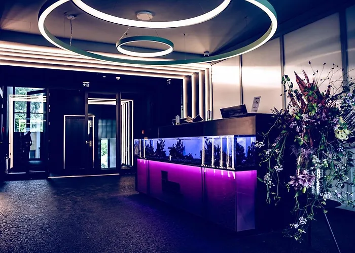 The Flamingo 티멘도르프스트랜드