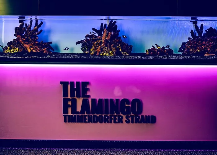 The Flamingo 티멘도르프스트랜드