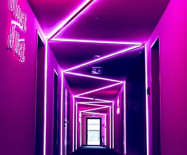 The Flamingo 티멘도르프스트랜드