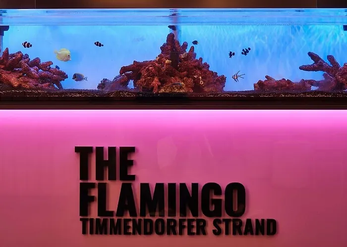 The Flamingo 티멘도르프스트랜드